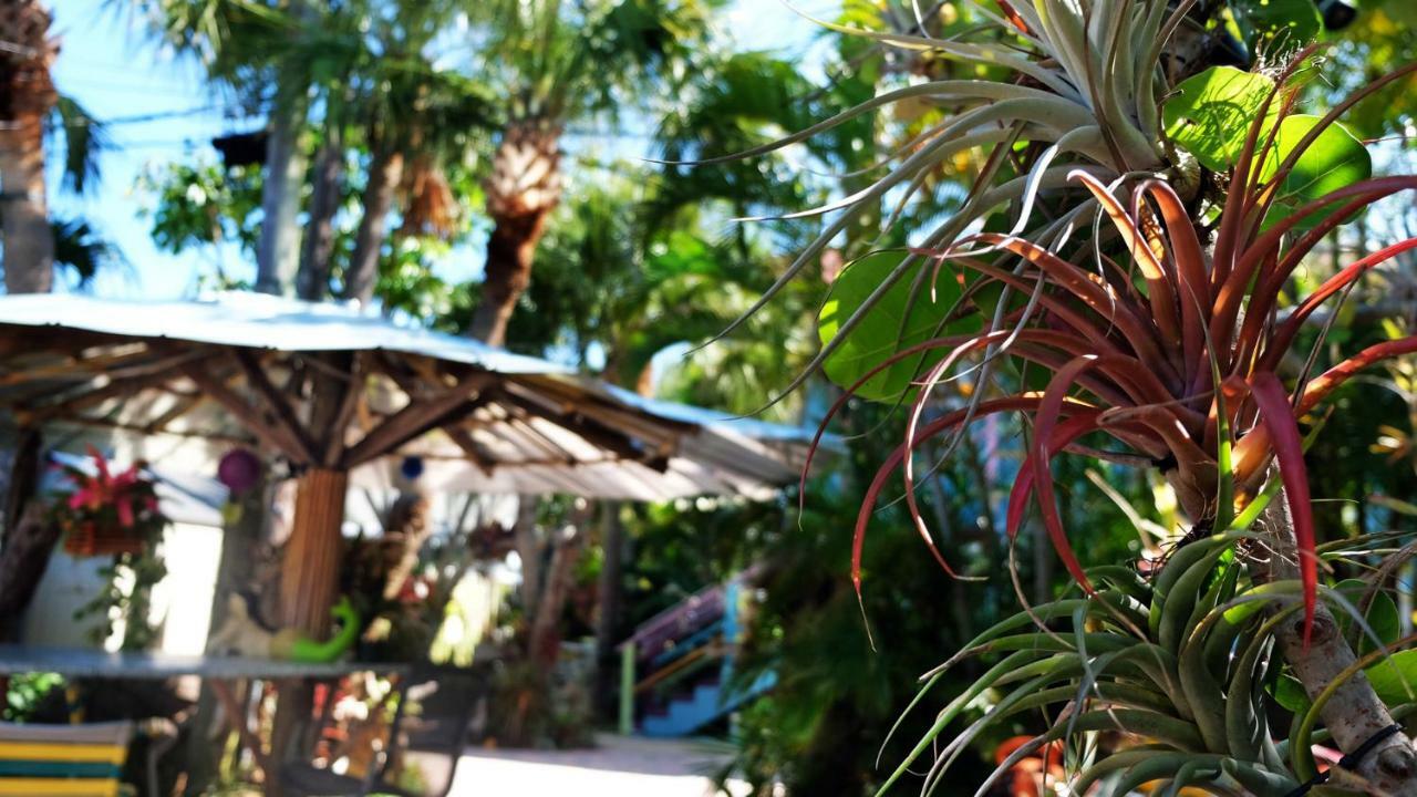 Beachpoint * Cayo Siesta